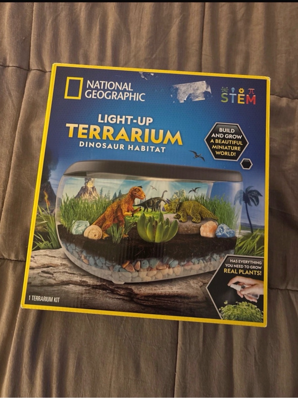 National Geographic Light-Up Terrarium Dinosaur Habitat - Blue and Yellow Box